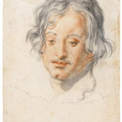 Head of a young man looking down
